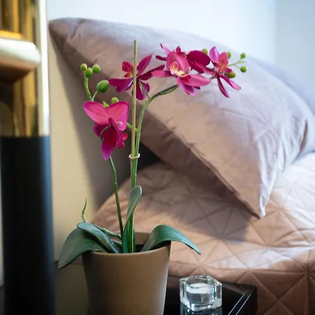 Stylish Studio In The Heart Of *